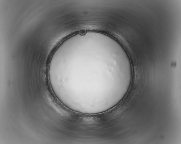 X0000112830439200909111402