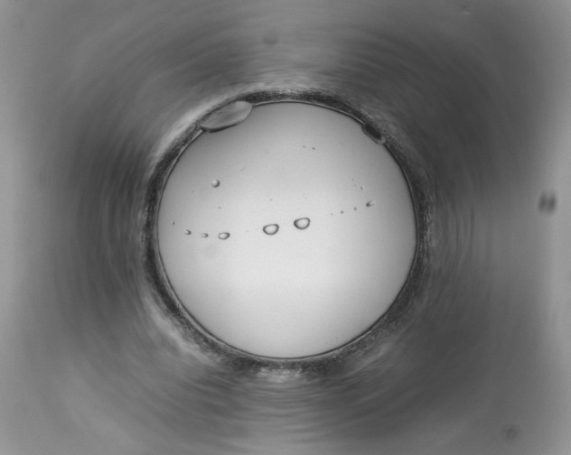 X0000112830440200909111402