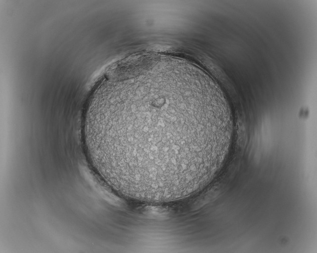 X0000112830442200909111402