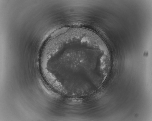 X0000112830443200909111402