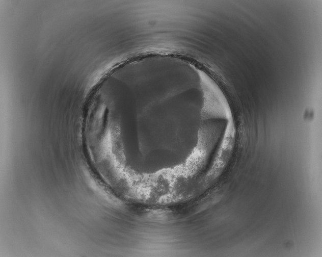 X0000112830446200909111402