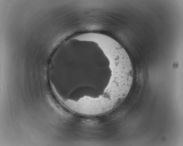 X0000112830447200909111402