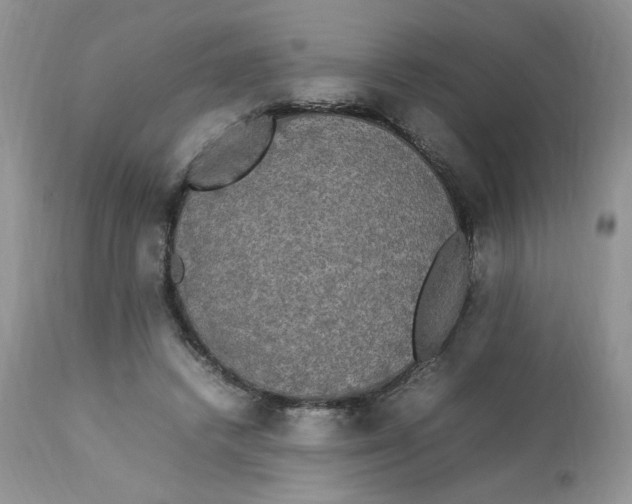 X0000112830448200909111402