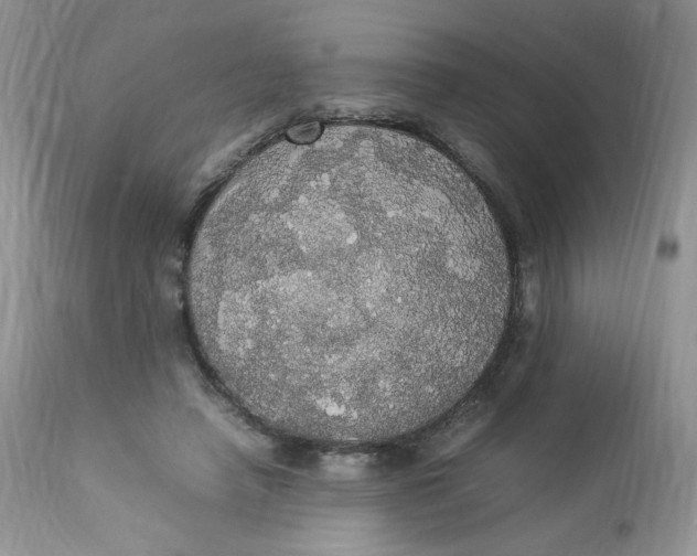 X0000112830450200909111402