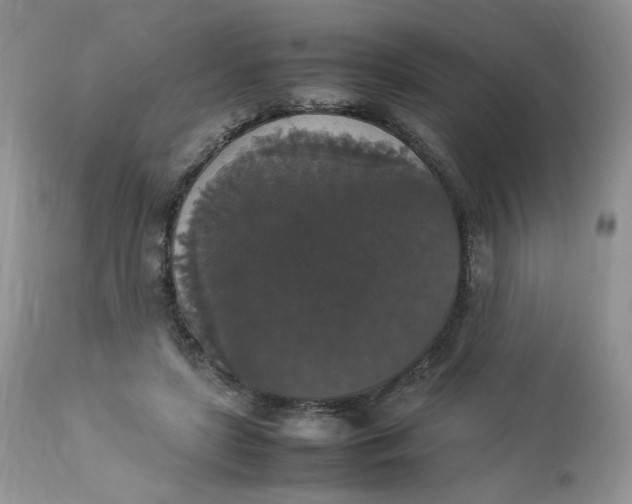 X0000112830451200909111402