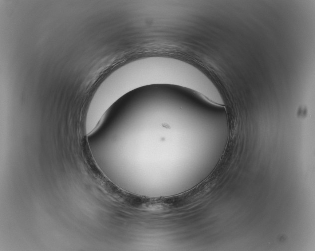 X0000112830452200909111402