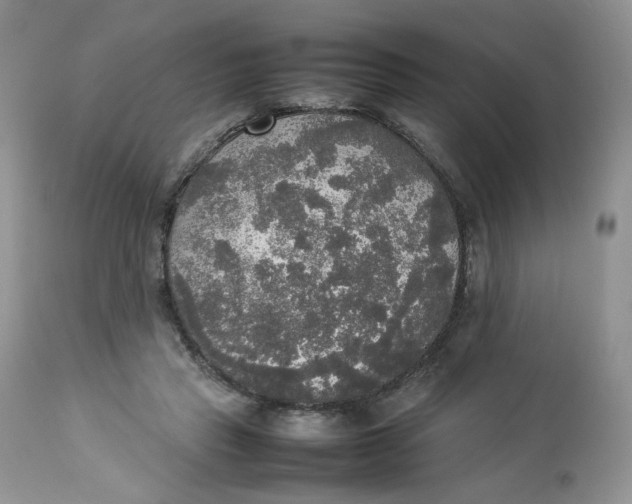 X0000112830453200909111402