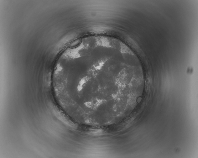 X0000112830454200909111402