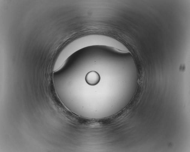 X0000112830456200909111402