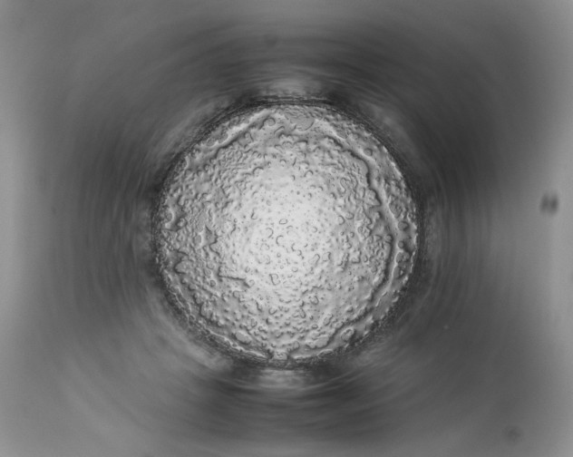 X0000112830457200909111402