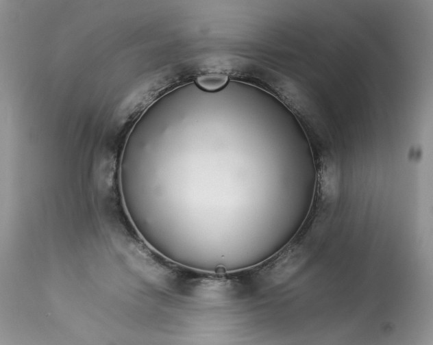 X0000112830458200909111402