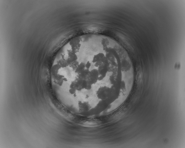 X0000112830459200909111402