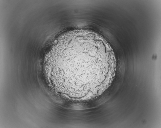 X0000112830461200909111402