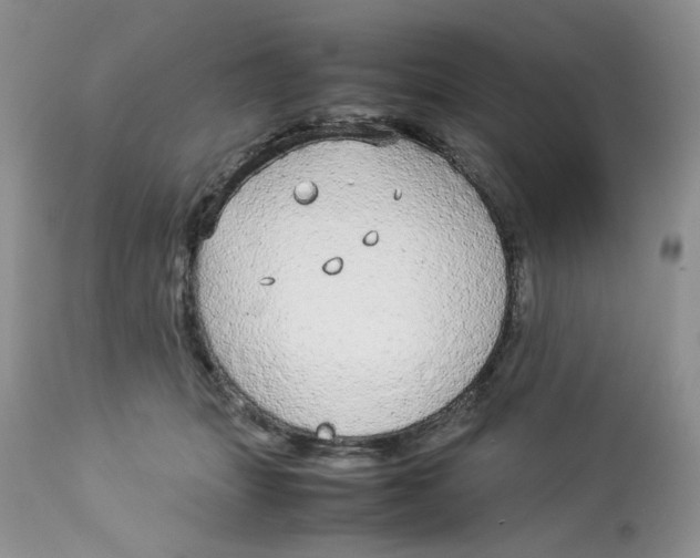 X0000112830463200909111402