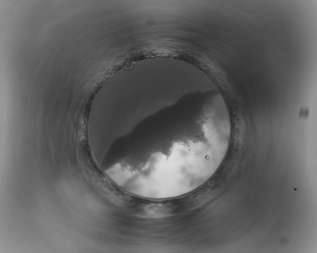 X0000112830465200909111402