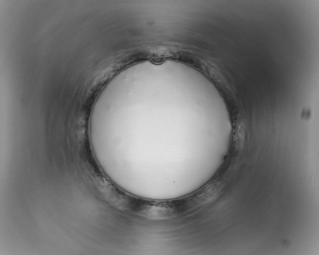 X0000112830466200909111402