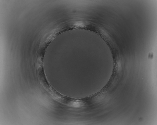 X0000112830467200909111402