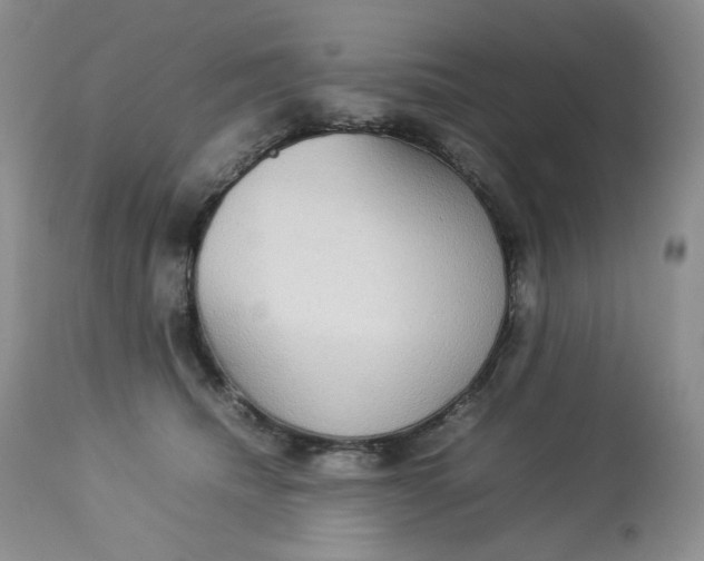 X0000112830468200909111402