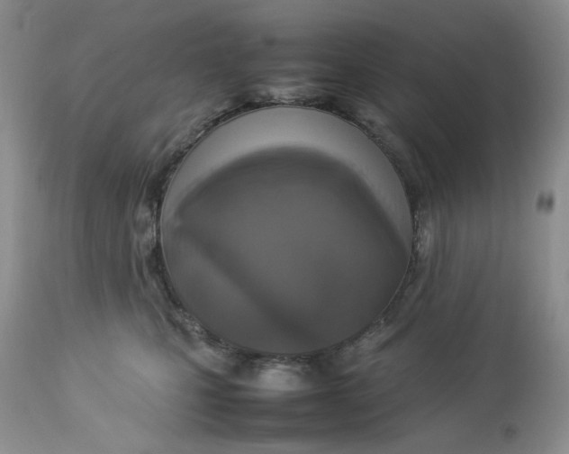 X0000112830471200909111402