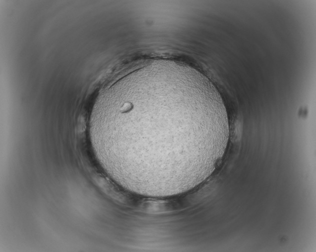 X0000112830472200909111402