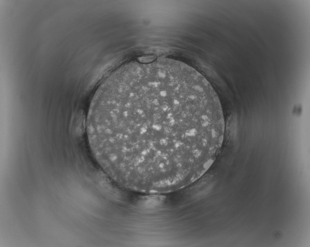 X0000112830474200909111402