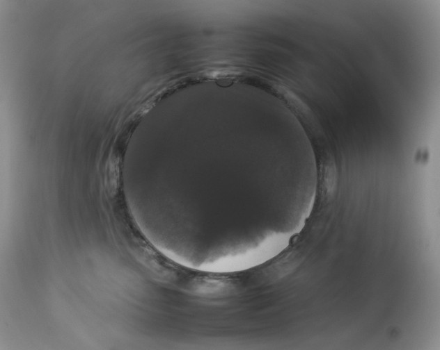 X0000112830475200909111402