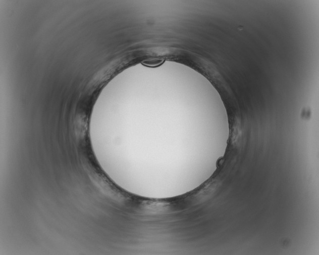 X0000112830476200909111402