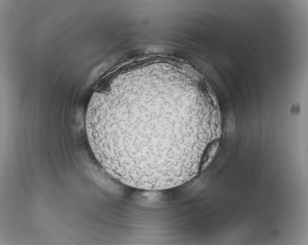 X0000112830478200909111403