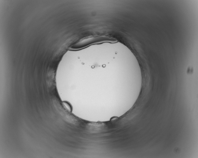 X0000112830480200909111403