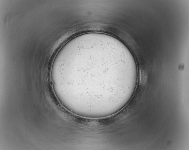 X0000112830483200909111402