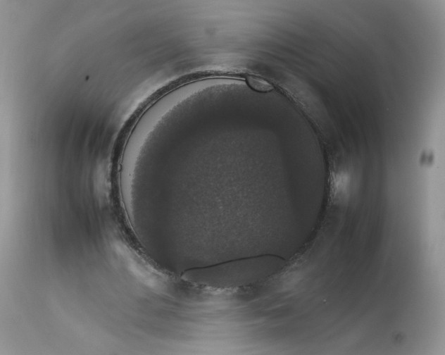 X0000112830484200909111402