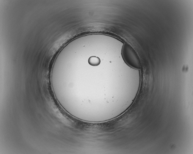 X0000112830485200909111402