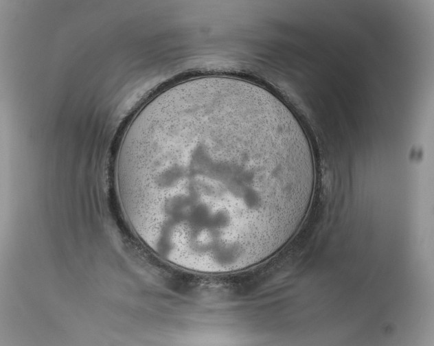 X0000112830487200909111402