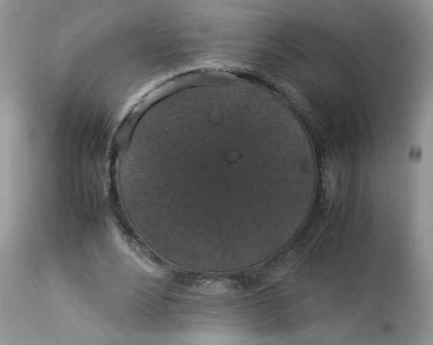 X0000112830488200909111402