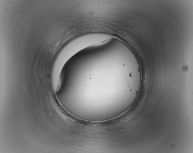 X0000112830489200909111402