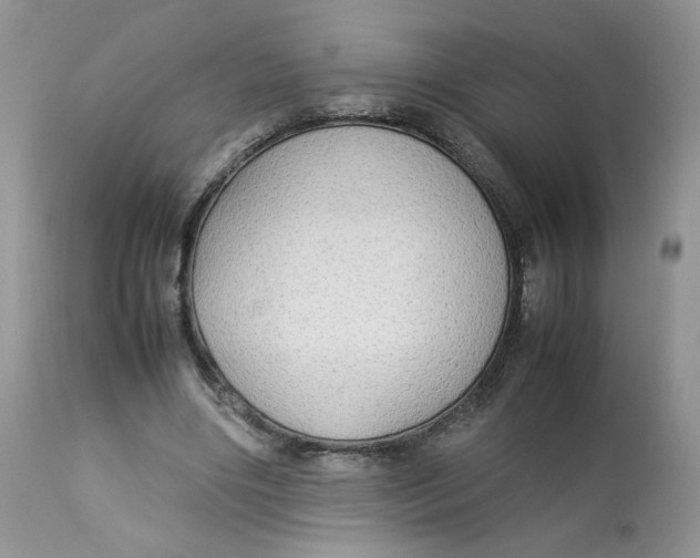 X0000112830490200909111402