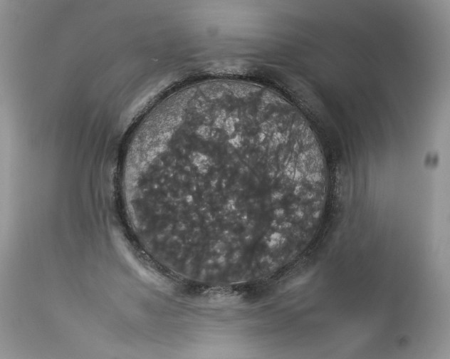 X0000112830491200909111402