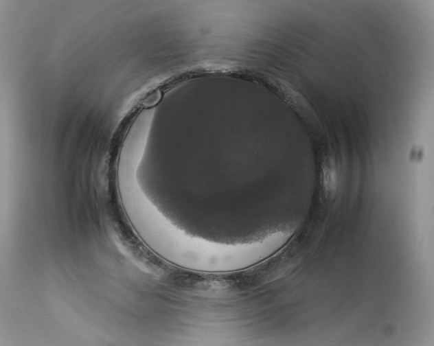 X0000112830492200909111402