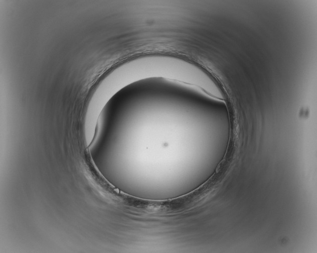 X0000112830493200909111402