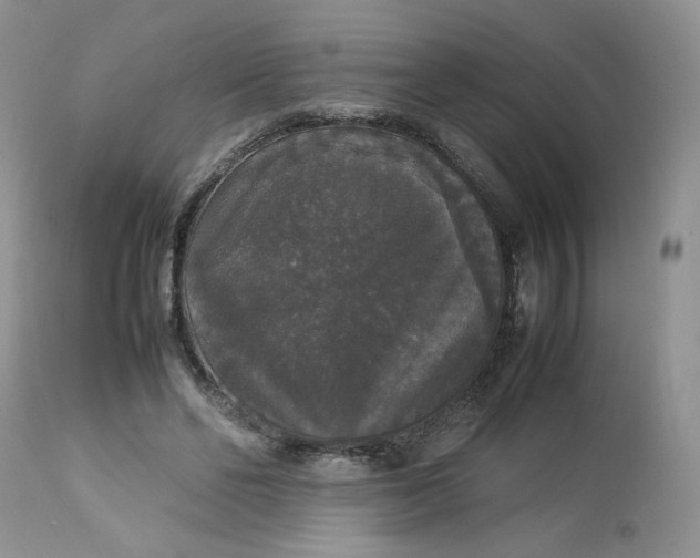 X0000112830494200909111402