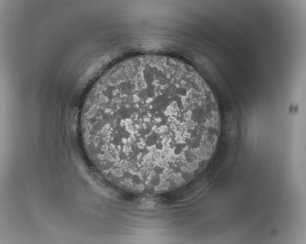 X0000112830495200909111402