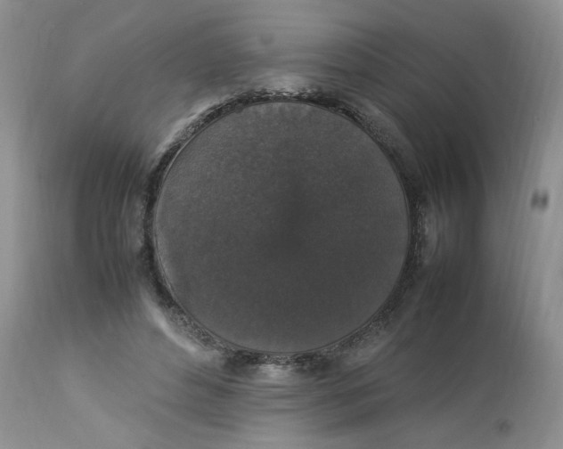 X0000112830496200909111402