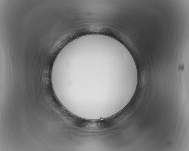 X0000112830497200909111402