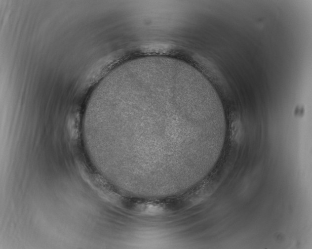 X0000112830498200909111402