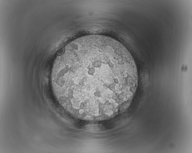 X0000112830499200909111402