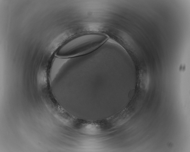 X0000112830500200909111402