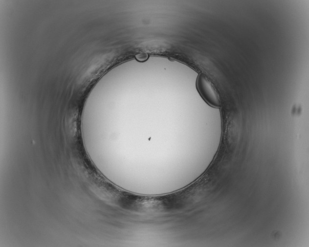 X0000112830501200909111402