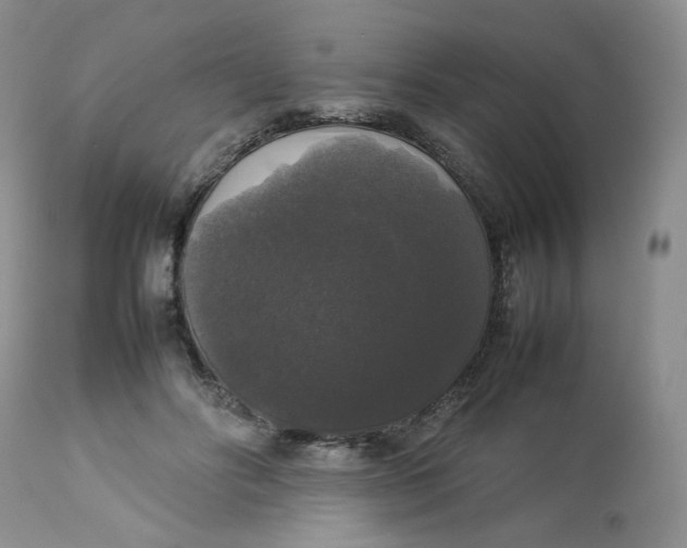 X0000112830502200909111401