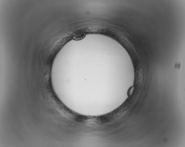 X0000112830505200909111401