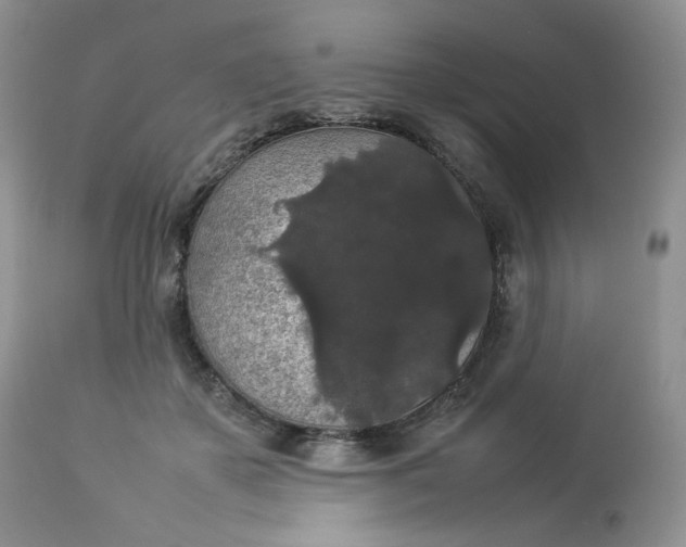 X0000112830507200909111401